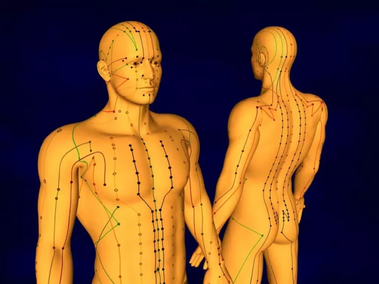Acupuncture 8 Diagram of Acupuncture in Ottawa