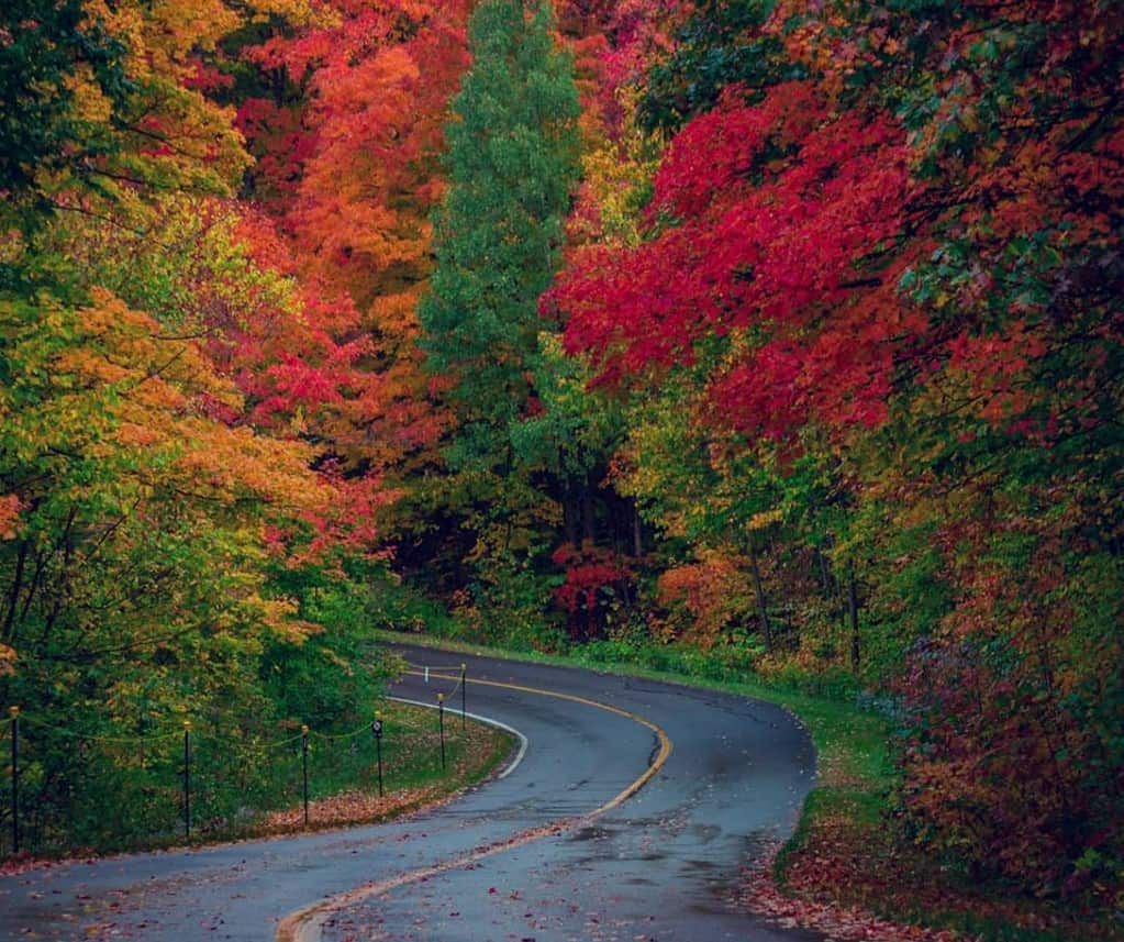 High Intensity Interval Training In Gatineau Park