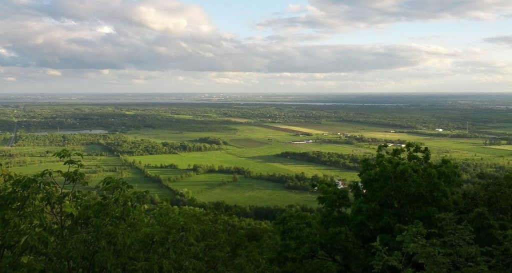 Hiking In King Mountain Trail