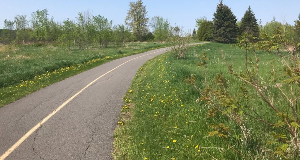 Ottawa River Pathway Eastern Section