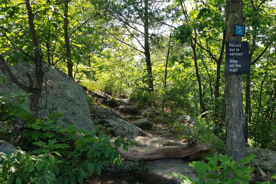 Luskville Falls Gatineau Park