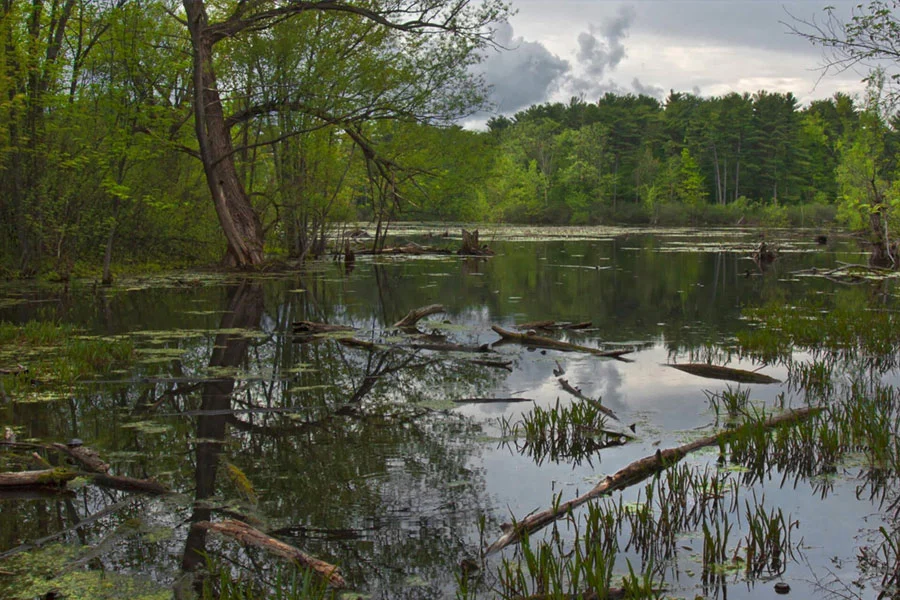 Mud Lake Trail Ottawa