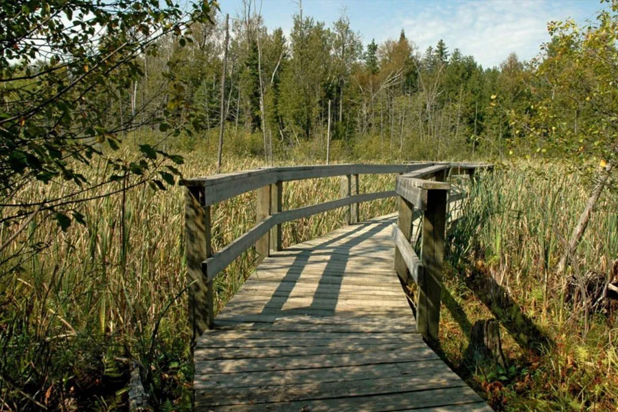 Old Quarry Trail