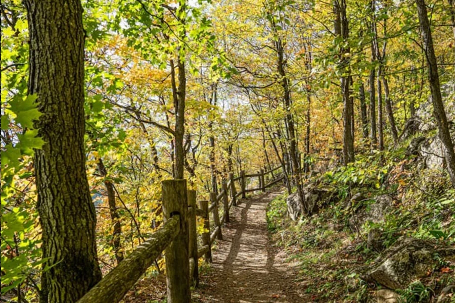 Outaouais Trail Gatineau Park