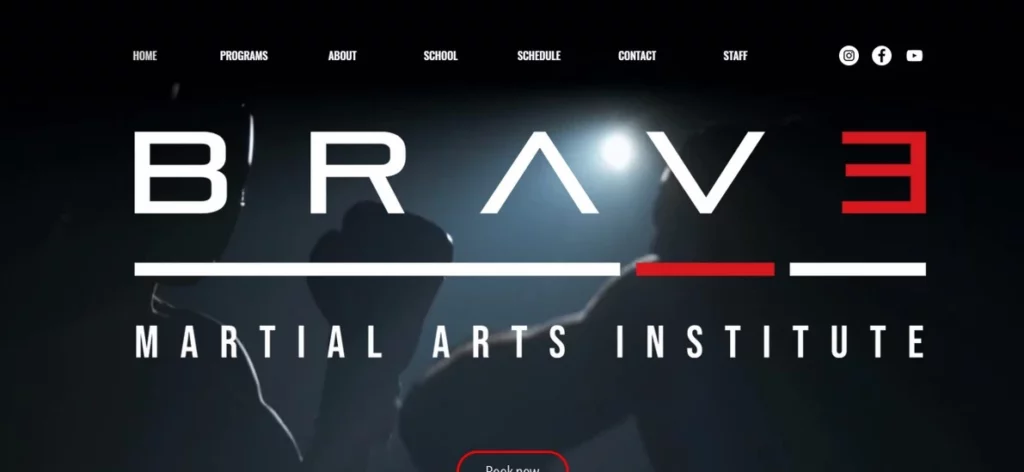 Brave Martial Arts Institute