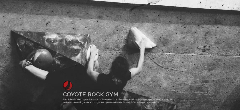 coyote rock gym