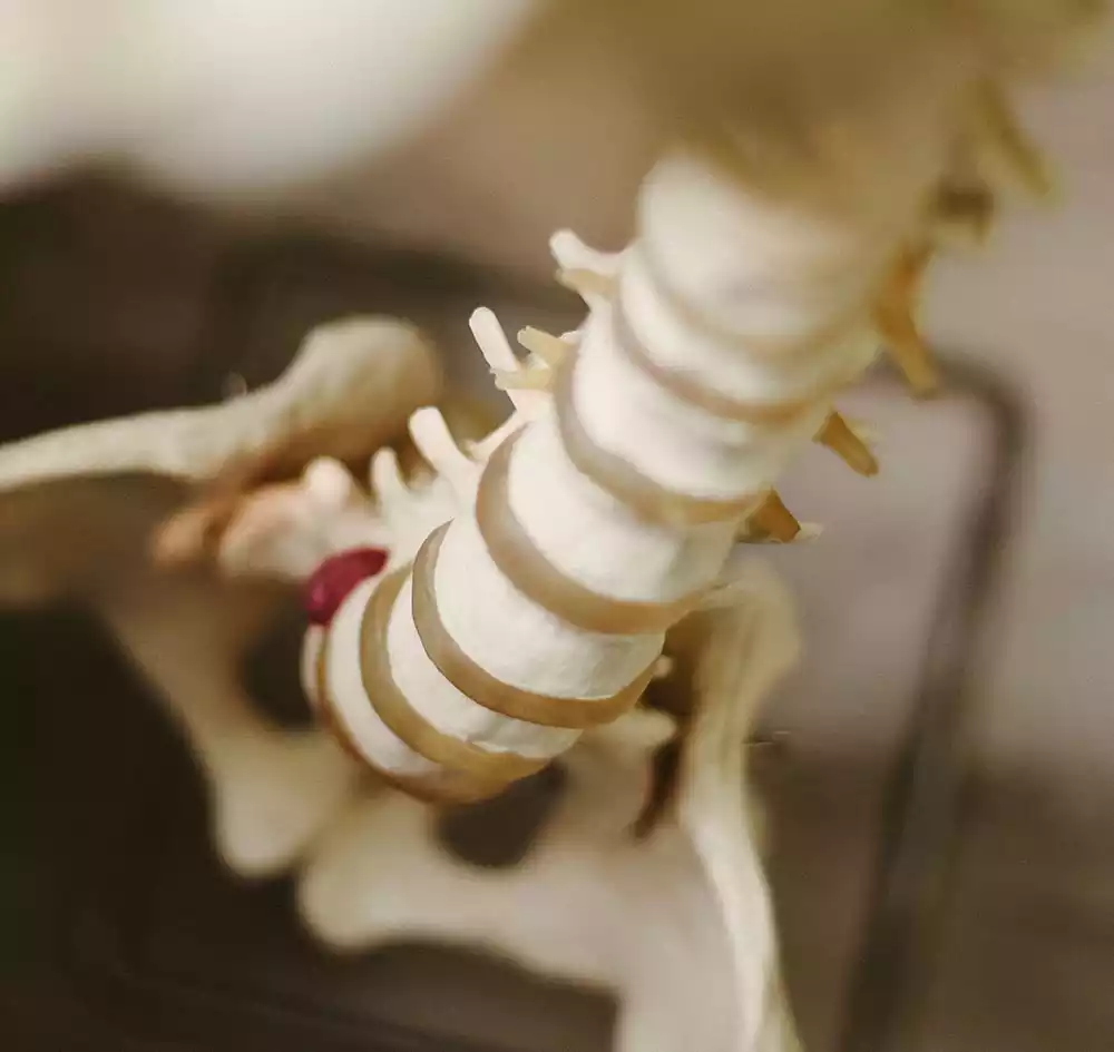Chiropractor Ottawa 7 Heal from sports injuries