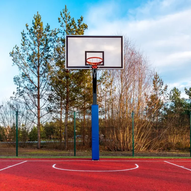 Basketball Courts in Ottawa 8 Best Basketball Courts for Active Summer Outdoors