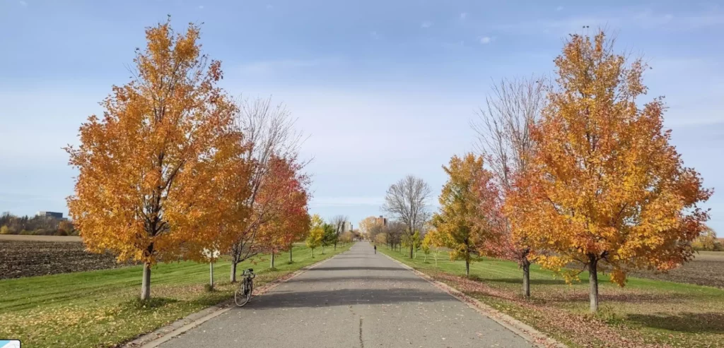 Experimental Farm Pathway