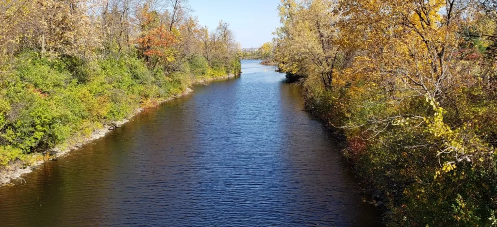 Lake Leamy Trail