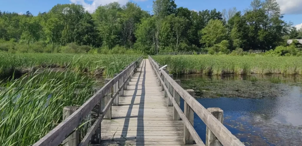 Mer Bleue Bog Trail