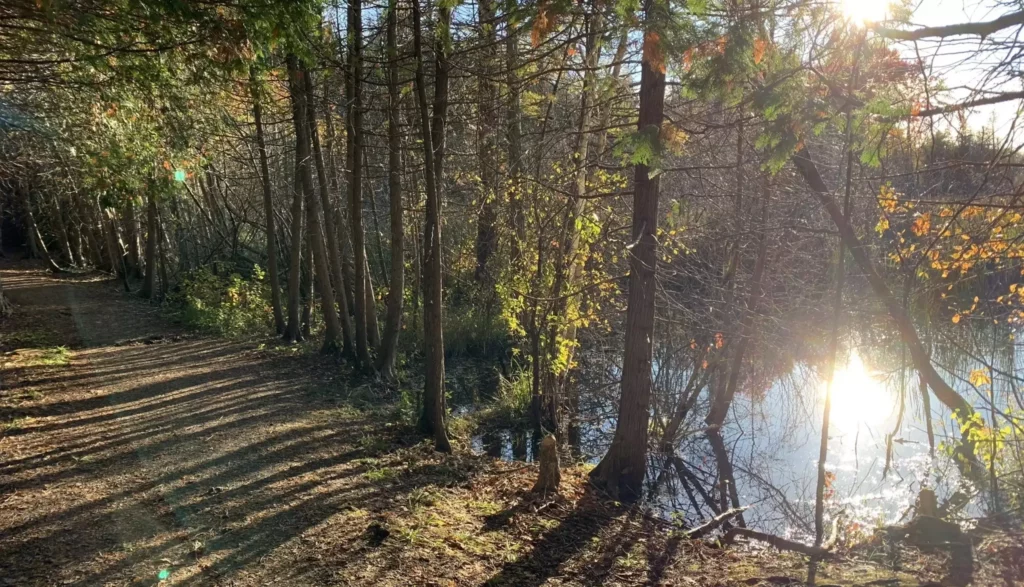 Old Quarry Trail