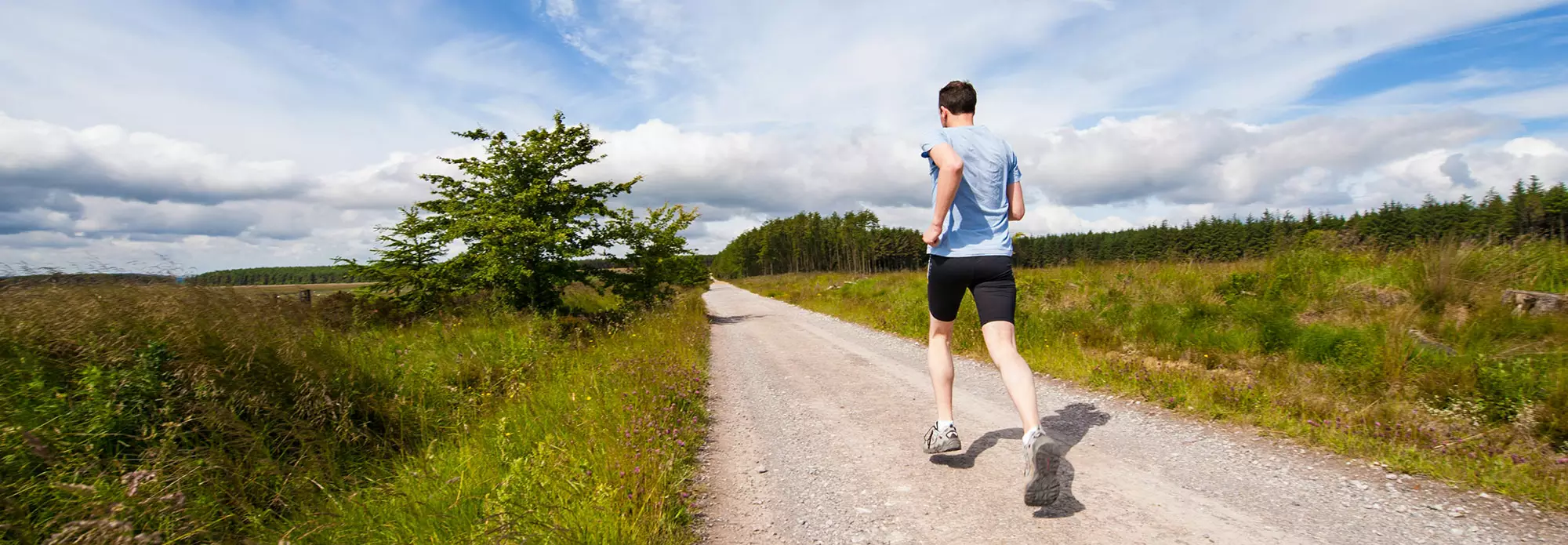 Running trailst in ottawa