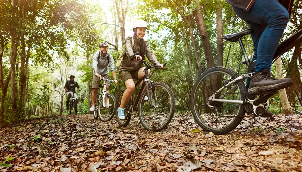 Beginner Friendly Trails