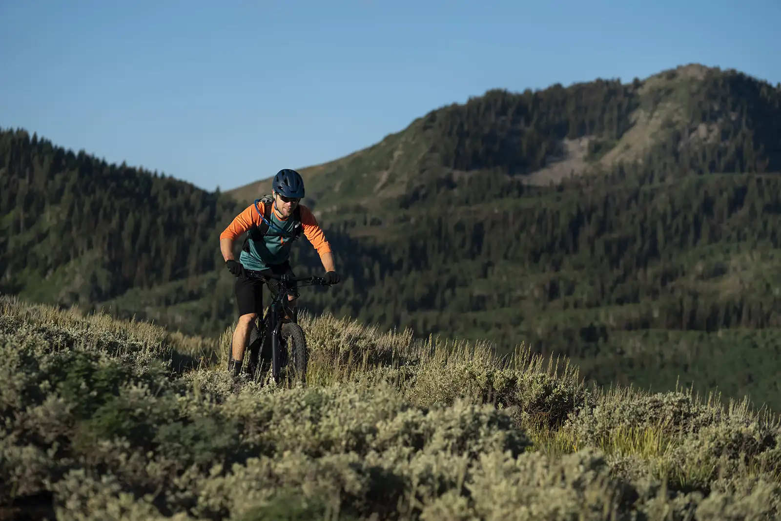 Best Mountain Bike Trails In Ottawa