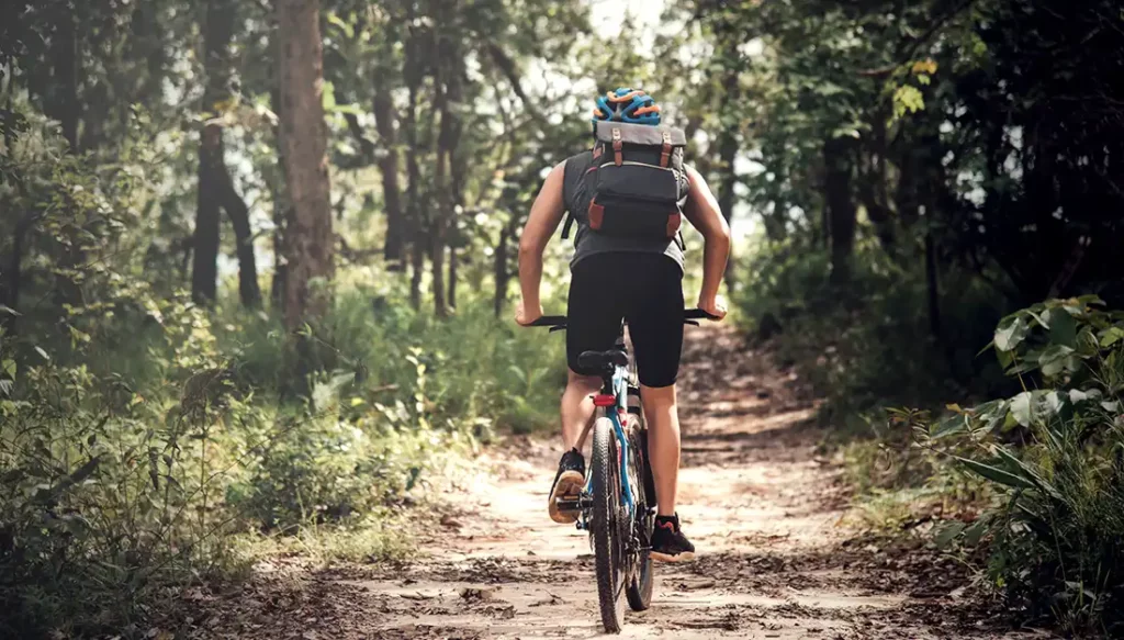 Best Seasons to Visit bike trails