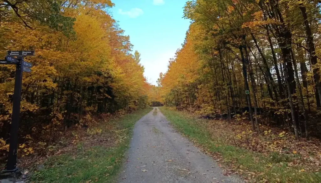 Gatineau Park